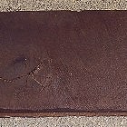 Beispielhafte Oberfl�che historscher Eichendielen oder Eichenbretter